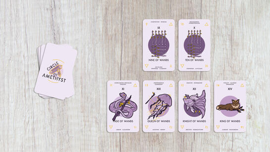 minor arcana: wands (9-14)