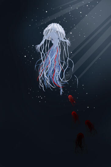 &quot;jellyfish&quot;